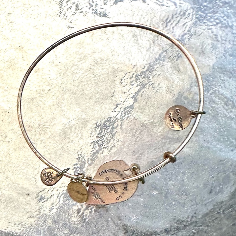 Alex and Ani Bangle Bracelet Guardian Angel Direction Divine Aid Coppure - Picture 4 of 6